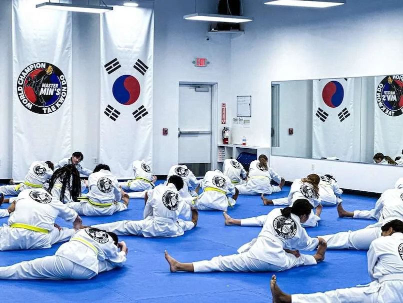 Master Min's World Champion Taekwondo, business photo 3