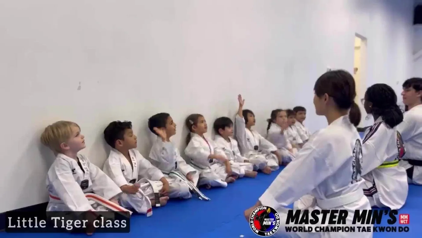 Master Min's World Champion Taekwondo, business photo 2