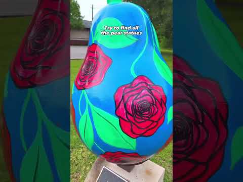 Pearland day-trip ideas from My Curly Adventures video thumbnail